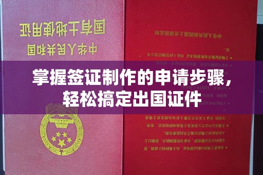永济掌握签证制作的申请步骤，轻松搞定出国证件
