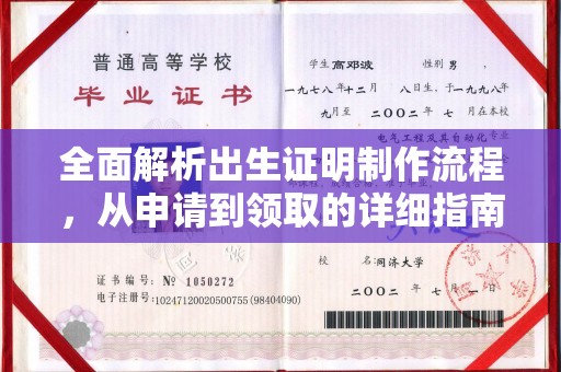 永济全面解析出生证明制作流程，从申请到领取的详细指南