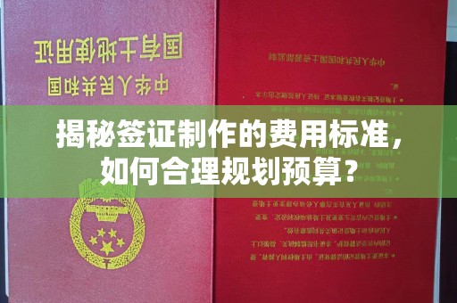 永济揭秘签证制作的费用标准，如何合理规划预算？