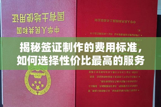 永济揭秘签证制作的费用标准，如何选择性价比最高的服务？