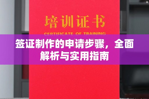 永济签证制作的申请步骤，全面解析与实用指南