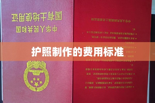 永济护照制作的费用标准
