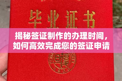 永济揭秘签证制作的办理时间，如何高效完成您的签证申请