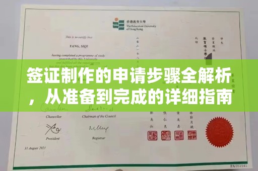 永济签证制作的申请步骤全解析，从准备到完成的详细指南